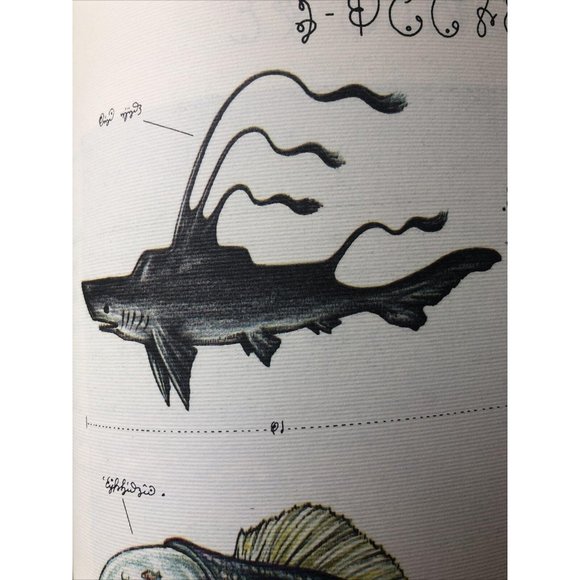 Luigi Serafini Codex Seraphinianus Print 83B - Picture 11 of 16